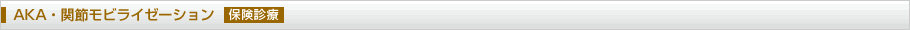 AKA・関節モビライザーション（保険診療）